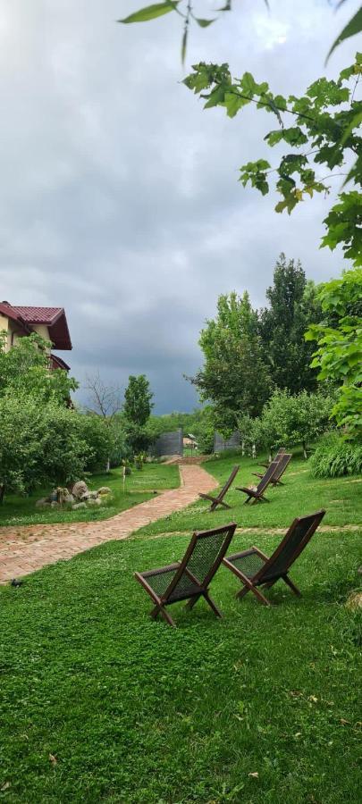 Enpi Lake Resort Iasi Bagian luar foto